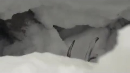 Скиори спасяват елен пропаднал в снега