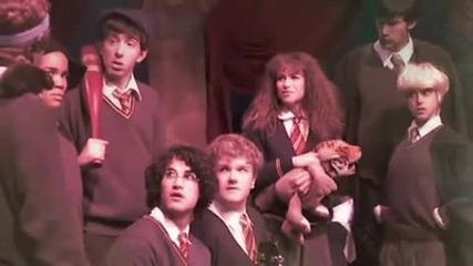 A V P M She's a Lady ( Ron Hermione )