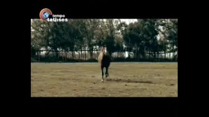 Esra Okan - Ozlem