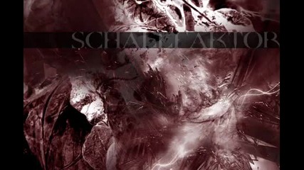 Schallfaktor - End Of Love 