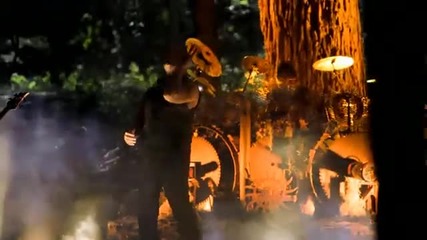 Disturbed the animal official