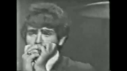 The Count Five - psychotic reaction