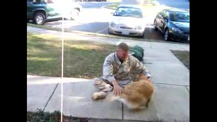 Seeing my dog the day I got back from Afghanistan
