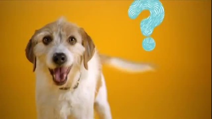Pedigree Vital Protection spot Sk