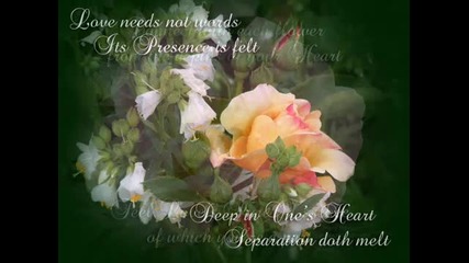 Flower Meditations ~ peaceful relaxing music and beautiful flowers by Mary Hession
