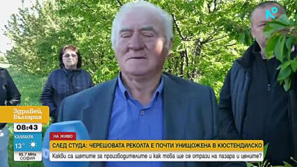 След студа: Черешовата реколта е почти унищожена в Кюстендилско