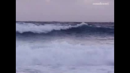 Пътуване по коприненото синьо море 