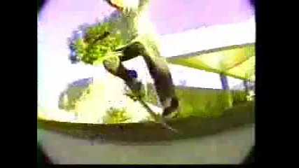 Rodney Mullen Skateboard 