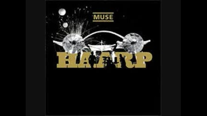 Muse - Blackout