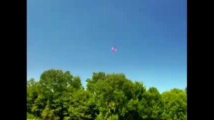 Minuscule - Zeppelin With A Spider