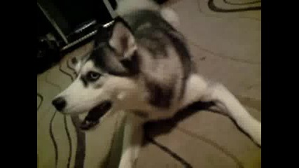 Mov01384