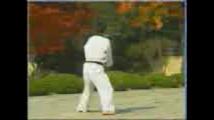 Wtf Taekwondo - Jansu (16 Poomse)