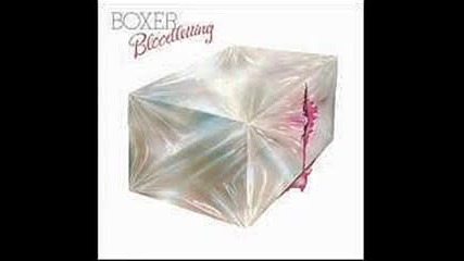 Boxer - Love Has Got Me