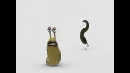Crazy Worms