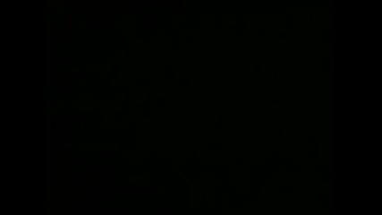 tmnt epizod 24 bg audio 1 3