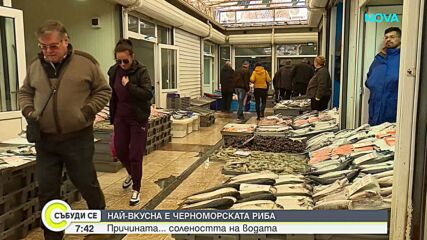 В Черно море ли е най-вкусната риба