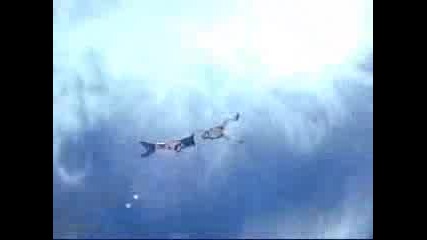 Free Fall