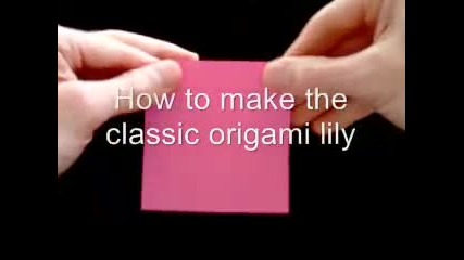 How to make a classic origami Lily