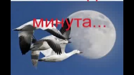 Wish you were here + Бг превод Rednex 