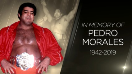 Tribute to WWE Hall of Famer Pedro Morales