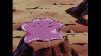 Pokemon - Hello Pummelo