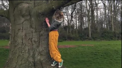Climbing A Tree - Ernesto Cortazar 