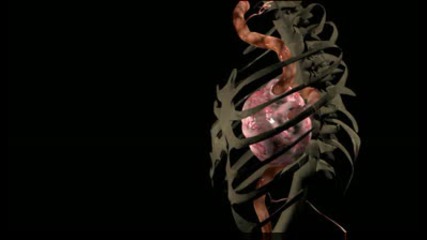 Heart Beat