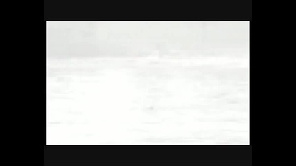 Monsterquest - America's Loch Ness Monster
