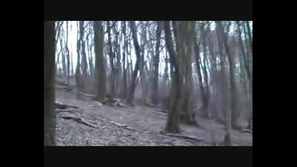 Лов На Чифтокопитни