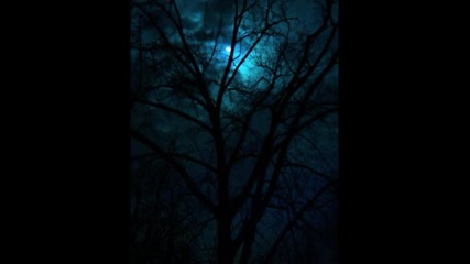 Kalmah - Moon of my Nights - превод 