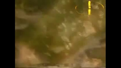 Scorpions - Cause I Love You