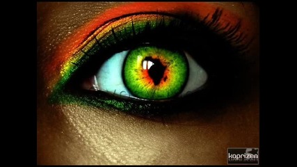 H O U S E Guiding Light (kintar feat. Lu Chase)