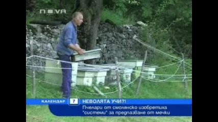 Пчелари гонят мечки със самоделни устройства