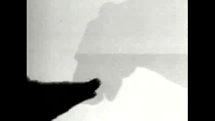 Животни С Ръце