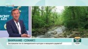 Кога започва истинската пролет