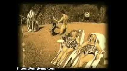 holidaypic