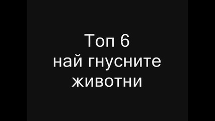 топ 6 най- гнусните животни