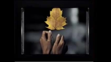 Tool - Lateralus 
