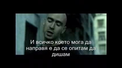 Live - Dolphins Cry (превод)