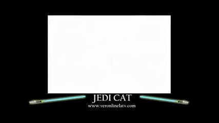 Jedi Cat!
