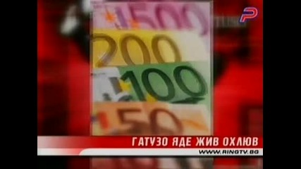 Гатузо сдъвка жив охлюв