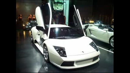 Lamborghini Picture
