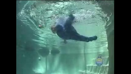 Infant Swimming Resource Splash Video Part 5 