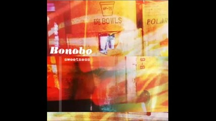 Bonobo - Scuba