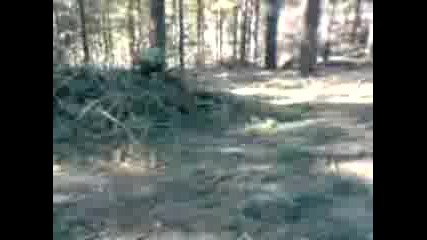 Странни Случаи В Гората - 1 Част