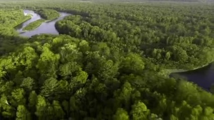 National Geographic - Дивата Природа : Премиера на Тайната гора