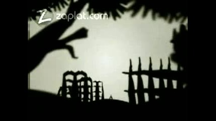 Шоу 