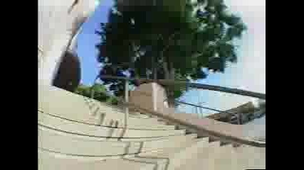 Chat Fernandes 2