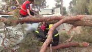 Дърво падна върху спешен медик по време на живо включване за пожарите в Турция