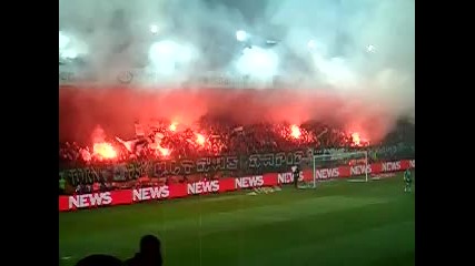 Rapid wiena 